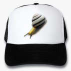 Кепки Trucker
