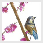 Серия: птицы