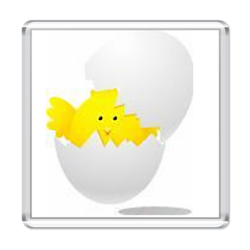 Магнит с принтом   "Цыпленок"