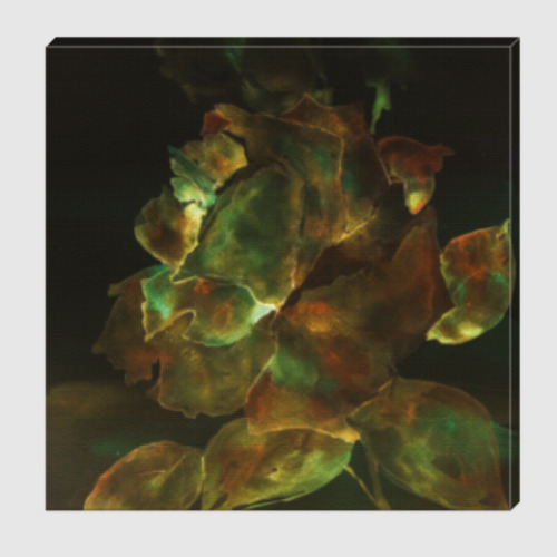 Холст с принтом Золотая роза