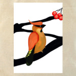 'Свиристель'