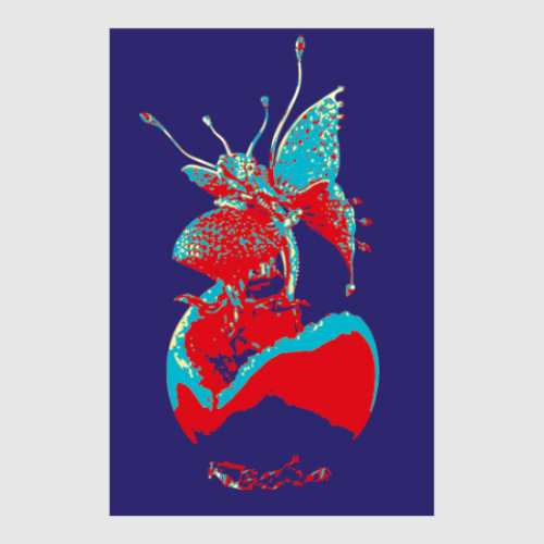 Постер с принтом Рожденная летать