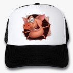 Кепки Trucker