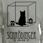 Кот Шрёдингера
