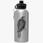 Ястреб тетеревятник