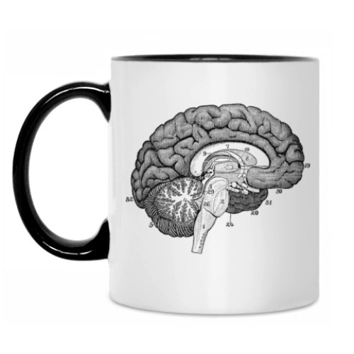 Кружка с принтом Мозг