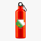 Металлическая бутылка 700 мл UV-DTF