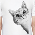 Любопытный котик