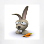  футболка Bunny