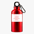 Металлическая бутылка 400 мл UV-DTF