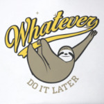 Whatever Do It Later !