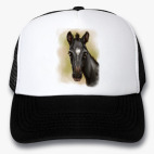 Кепки Trucker