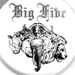 Большая пятерка