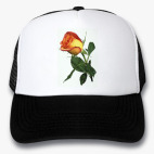 Кепки Trucker