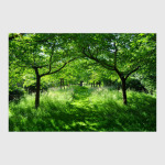 Необычайно красивая природа