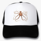 Кепки Trucker