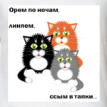 Котики