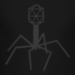 Бактериофаг