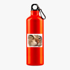 Металлическая бутылка 700 мл UV-DTF