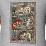 Из жизни львов