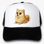 Кепки Trucker