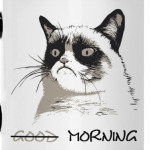 утро grampy cat