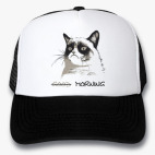 Кепки Trucker