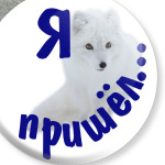 Полярный песец. Белый и пушистый.