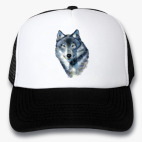 Кепки Trucker