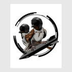 Постер 40 х 50 см Птицы воробьи-истребители