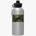 Спортивная бутылка