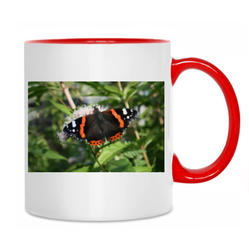 Кружка с принтом Бабочка