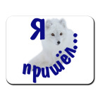 Полярный песец. Белый и пушистый.