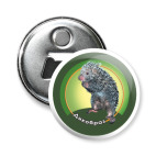 Древесный дикобраз