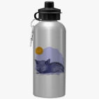 Спортивная бутылка