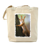 Холщовая сумка