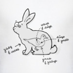 Заяц в шоке