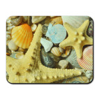 Коврик для мыши Ракушки