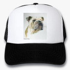 Кепки Trucker