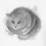 Серый кот, кошка