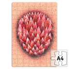 чувствую красный (sensor red)