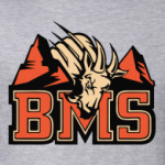 BMS