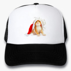 Кепки Trucker