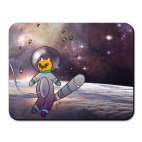 Кот космонавт