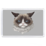 Grumpy Cat / Сердитый Кот