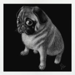 Мопсик Очаровашка