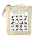Insects&Spiders