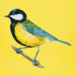 Птица Синица