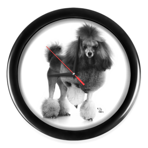 Настенные часы с принтом Пудель