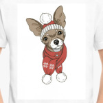 милый песик в шапке и шарфе